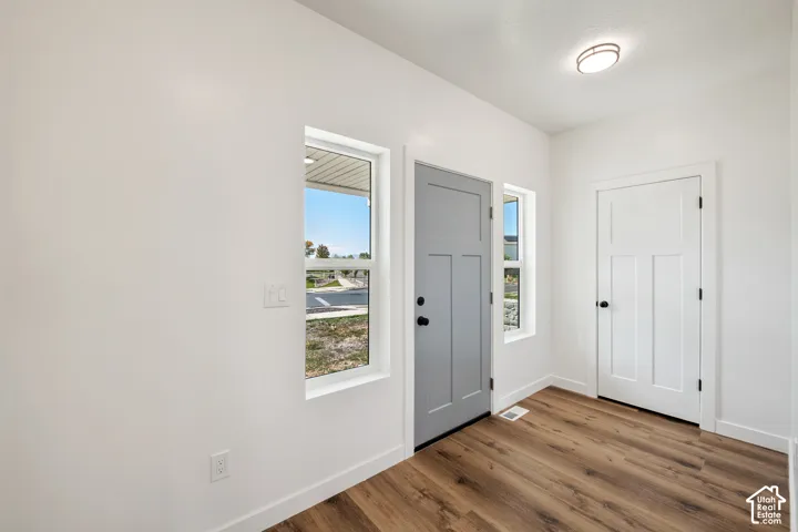 Hardwood-style flooring, white walls, modern flush mount ceiling light, grey paneled door with black hardware, and white paneled door with black hardware