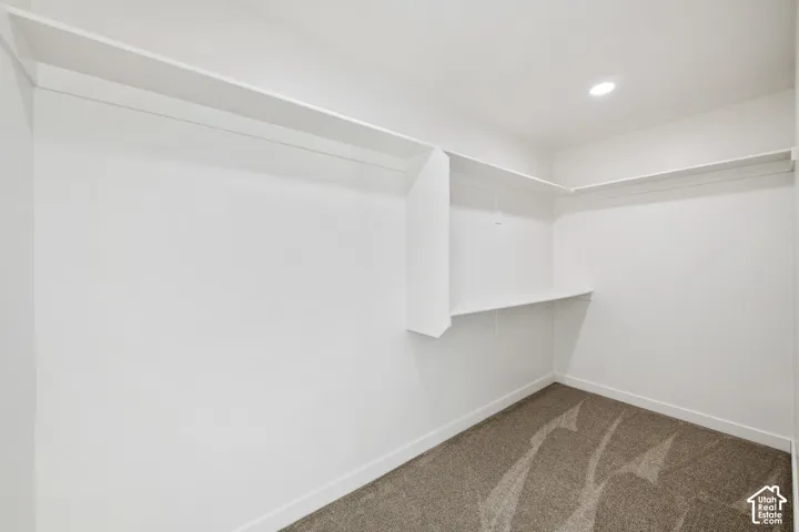 Walk-in closet featuring built-in shelving, hanging rods, recessed lighting, and carpet flooring