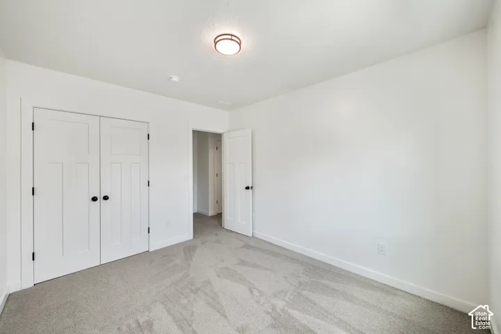 Neutral wall paint, carpet flooring, a ceiling-mounted light fixture, and white interior doors with dark hardware