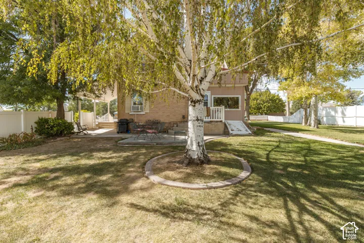 Expansive backyard featuring a mature tree, concrete patio, and a covered patio area