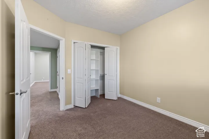 Carpeted room with neutral wall tones, white trim, and a built-in closet with shelving