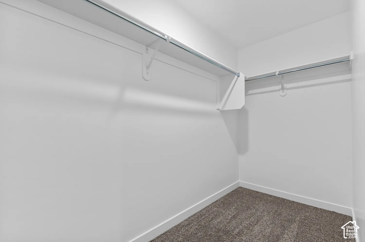 Spacious walk-in closet featuring dual clothing rods, abundant hanging space, and carpeted flooring throughout