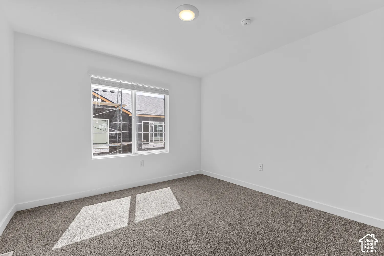 Wall-to-wall carpeting, a double-paned window, and an overhead light fixture