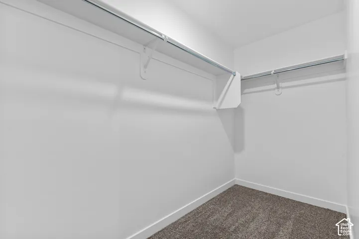 Spacious walk-in closet featuring dual clothing rods, abundant hanging space, and carpeted flooring throughout