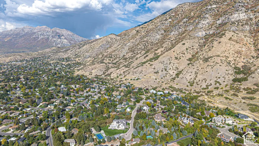 Aerial view of a tree-lined residential community nestled against dramatic mountain slopes