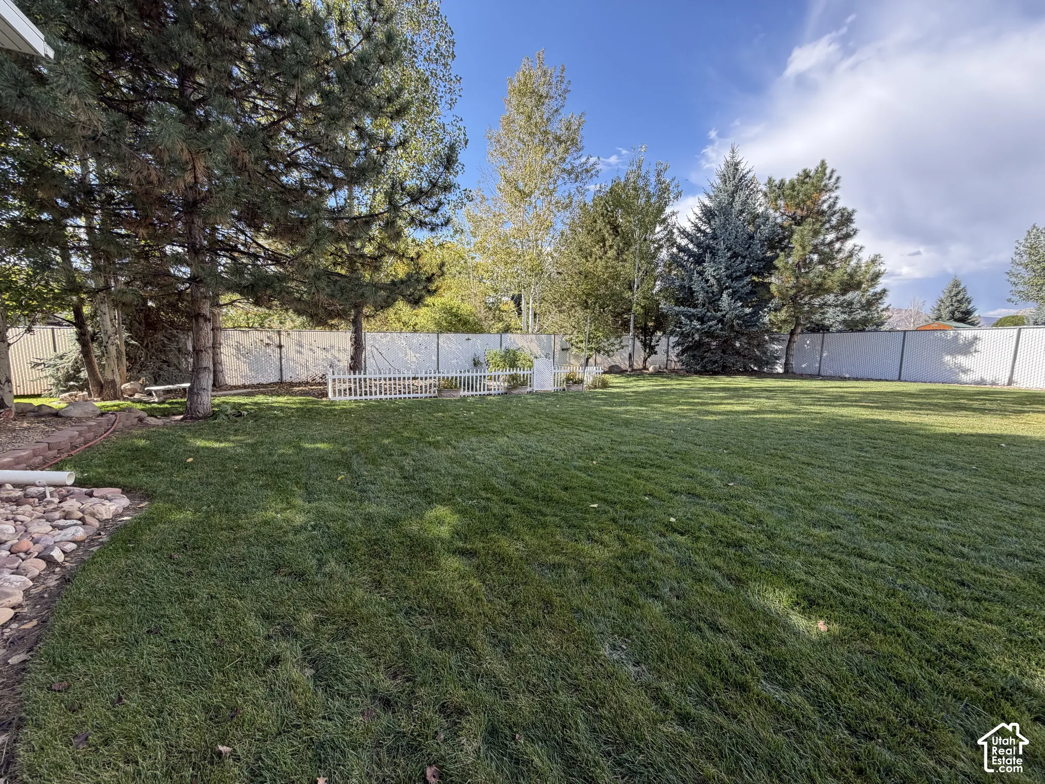 Expansive lawn with mature evergreen trees and a white picket fence