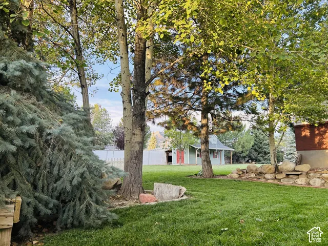 Peaceful backyard shaded by aspens and towering evergreens, with natural boulderlandscaping, a lush lawn