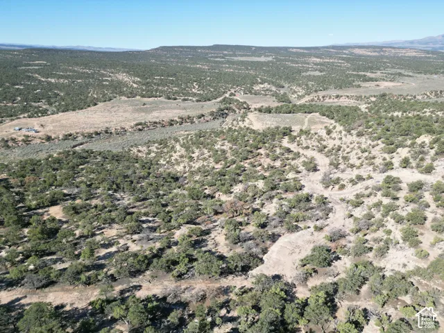 Expansive natural landscape featuring scattered green foliage, distant hills, and clear skies