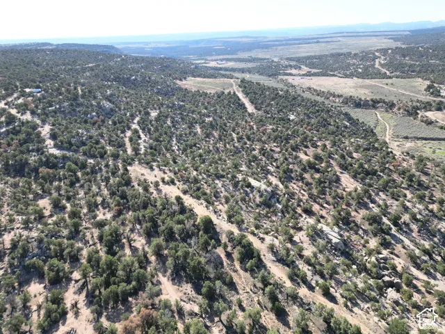 Expansive, undeveloped terrain featuring numerous mature trees and visible access roads
