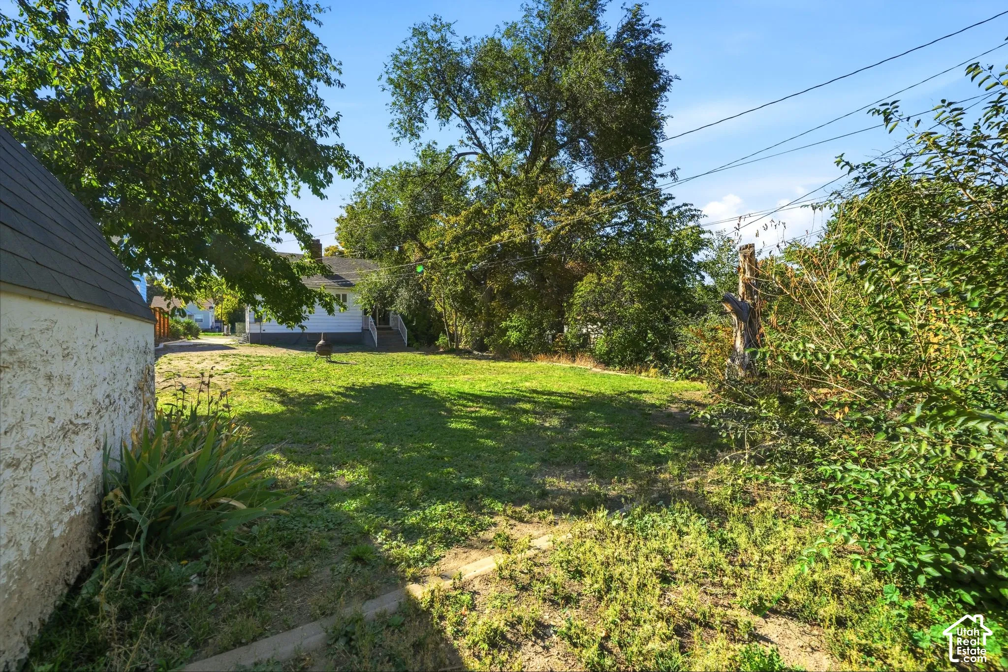 Expansive rear yard featuring mature trees and a detached structure with a dark-shingled roof