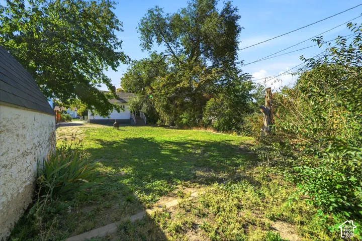 Expansive rear yard featuring mature trees and a detached structure with a dark-shingled roof