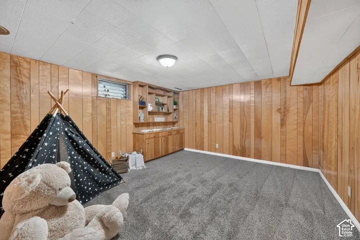 Finished basement recreation room featuring warm wood-paneled walls, gray carpet flooring, recessed ceiling lighting, and built-in shelving and storage