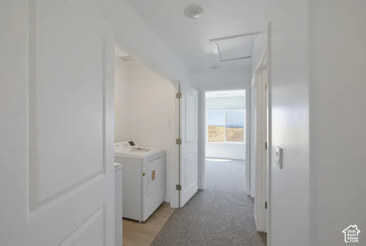 Laundry area featuring wood-finish flooring