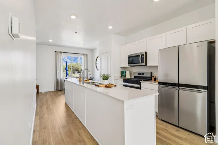 White kitchen island with a double basin sink, stainless steel appliances, white cabinetry, recessed lighting, and wood-finish flooring