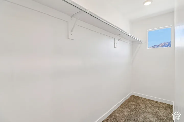 Built-in shelving and hanging rod, recessed ceiling light, framed window with mountain scenery, and carpeted flooring