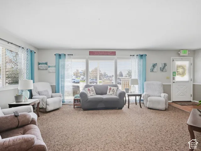 Carpeted living area featuring multiple large windows with horizontal blinds, a white paneled door, and a two-tone wall finish