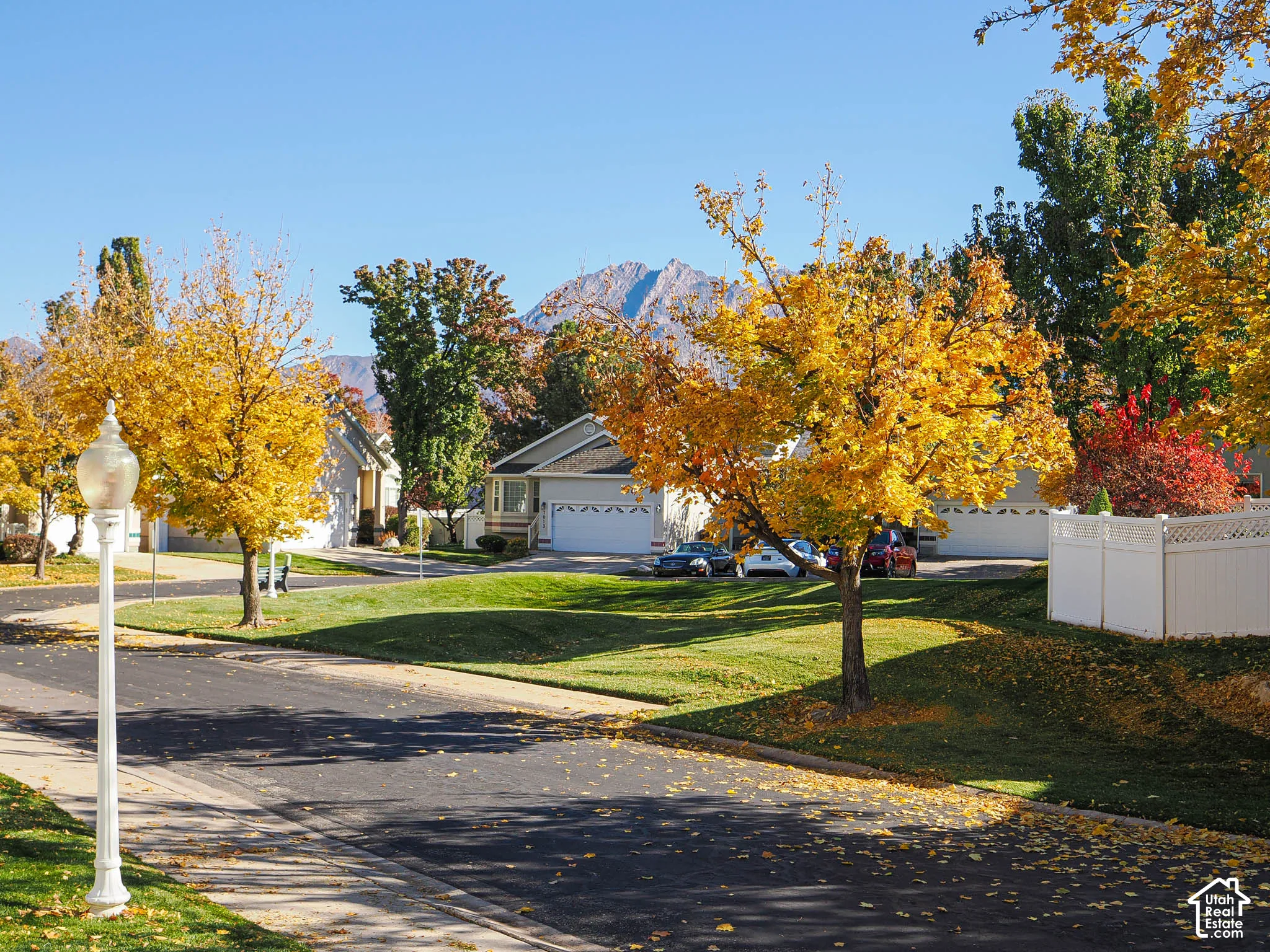 Residential street with mature trees displaying autumn foliage, manicured lawns, and a white picket fence