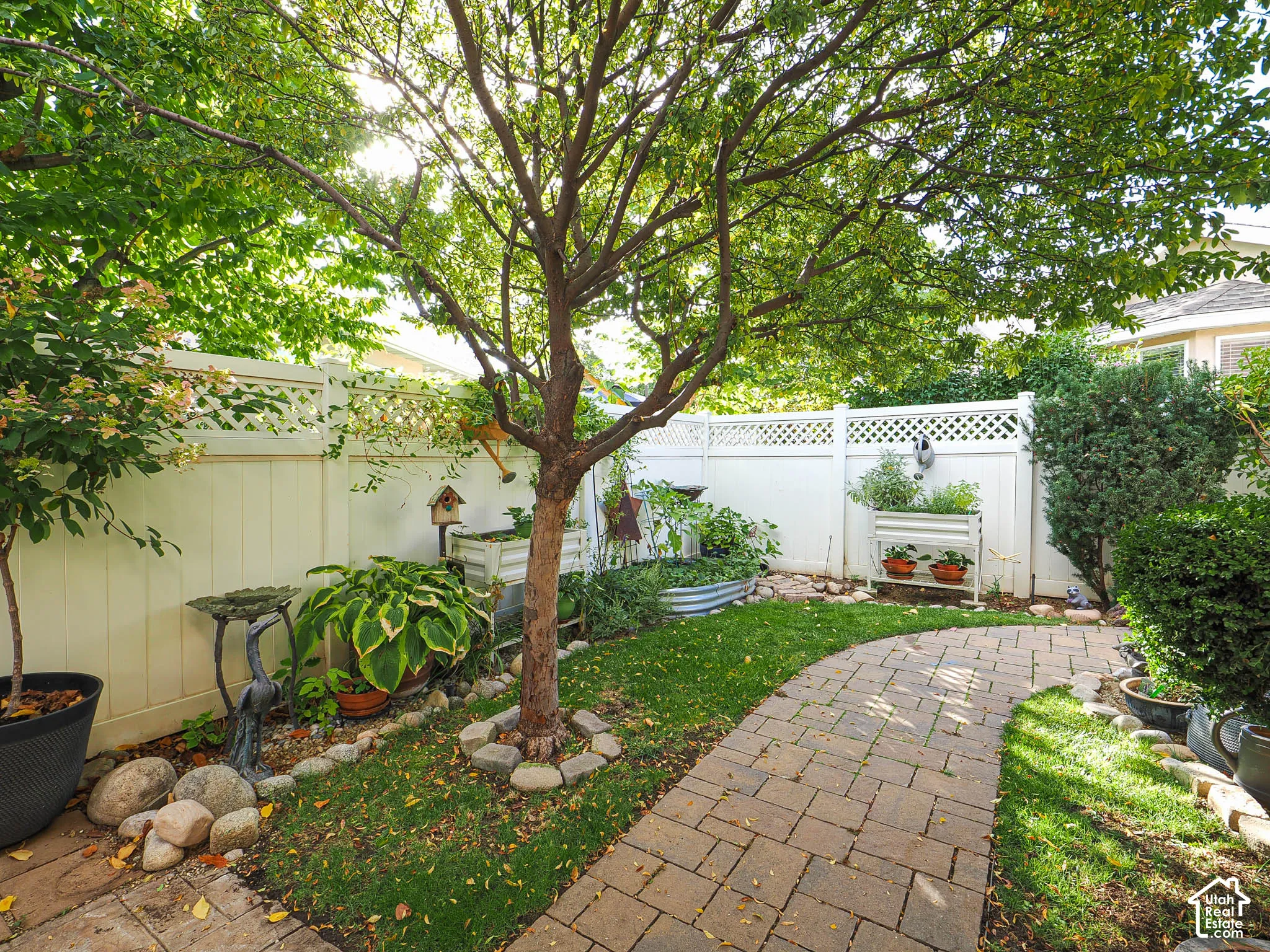 Manicured lawn with mature trees, paver pathway, white privacy fencing with lattice accents, and raised garden beds