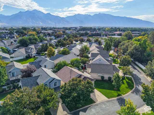 Mountain backdrop framing a residential area with varied rooflines and extensive tree canopy