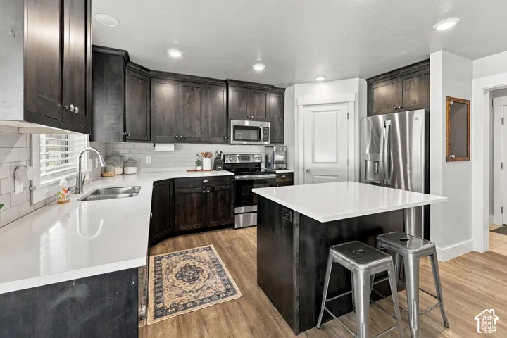 713 E 450 S, Smithfield, Utah 84335