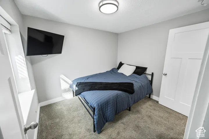 Carpeted room with light gray walls, a window with blinds, and a flush-mount ceiling light