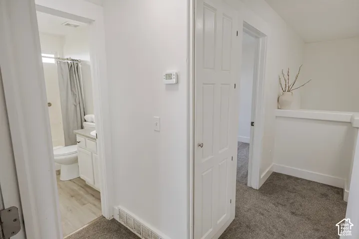 Bathroom featuring wood-finish flooring, white vanity with a light-toned countertop, and a shower with a privacy curtain