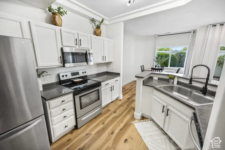 Kitchen featuring white cabinetry, dark countertops, stainless steel appliances, wood-finish flooring, and a double basin sink
