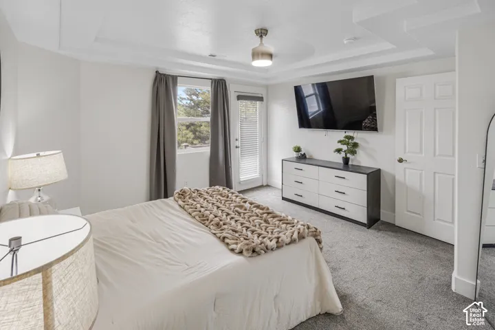 Tray ceiling with integrated lighting, wall-to-wall carpeting, and a white paneled door