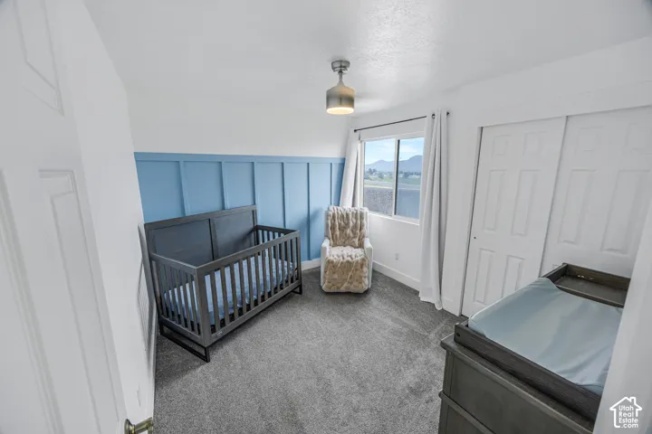 Blue accent wall with wainscoting, grey carpet flooring, ceiling-mounted light fixture, sliding closet doors, and large window
