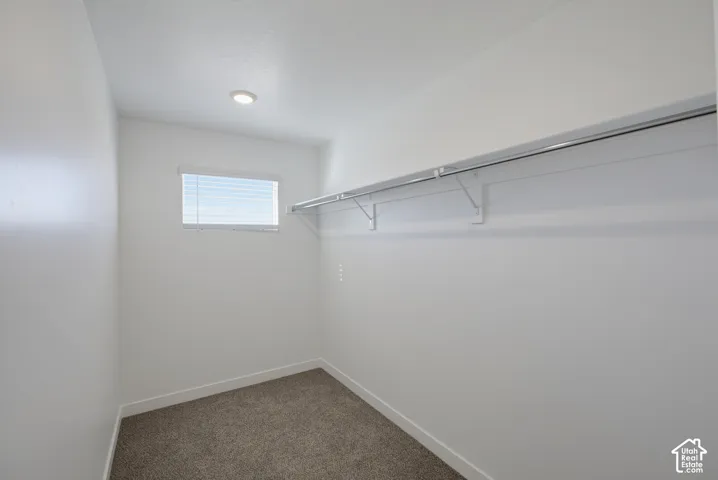 Recessed ceiling lighting, window with blinds, wall-mounted shelving, and carpeted flooring