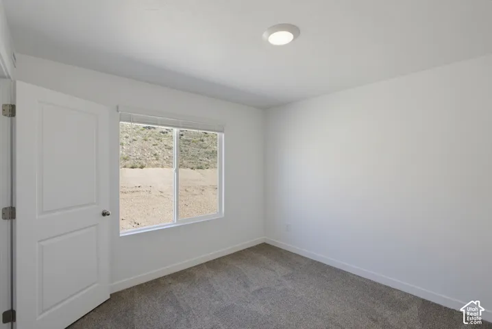 Neutral wall paint, carpet flooring, a window with a natural backdrop, and a flush-mount ceiling light fixture