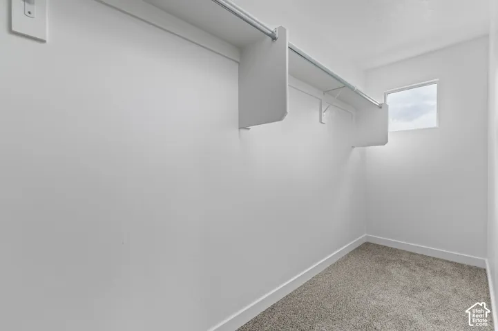Recessed window providing natural light, built-in shelving, chrome hanging rods, and carpet flooring
