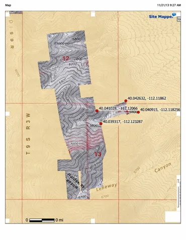 Topographical Map. Detailing elevation contours and geographical features of the property