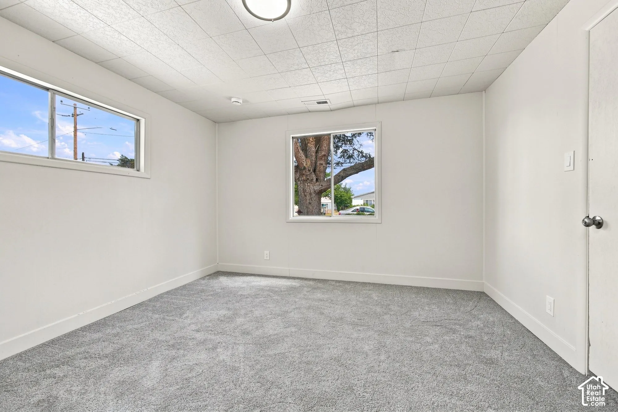 Spacious room featuring light gray carpet, multiple windows, a flush-mount ceiling light, and white interior walls