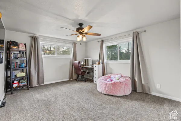 Neutral-toned walls complement plush carpet flooring