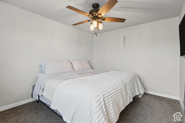 Textured carpet flooring with light-toned walls