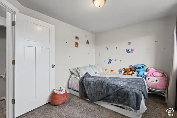 Textured carpet flooring, overhead dome lighting, white interior door with paneling, light-colored wall paint