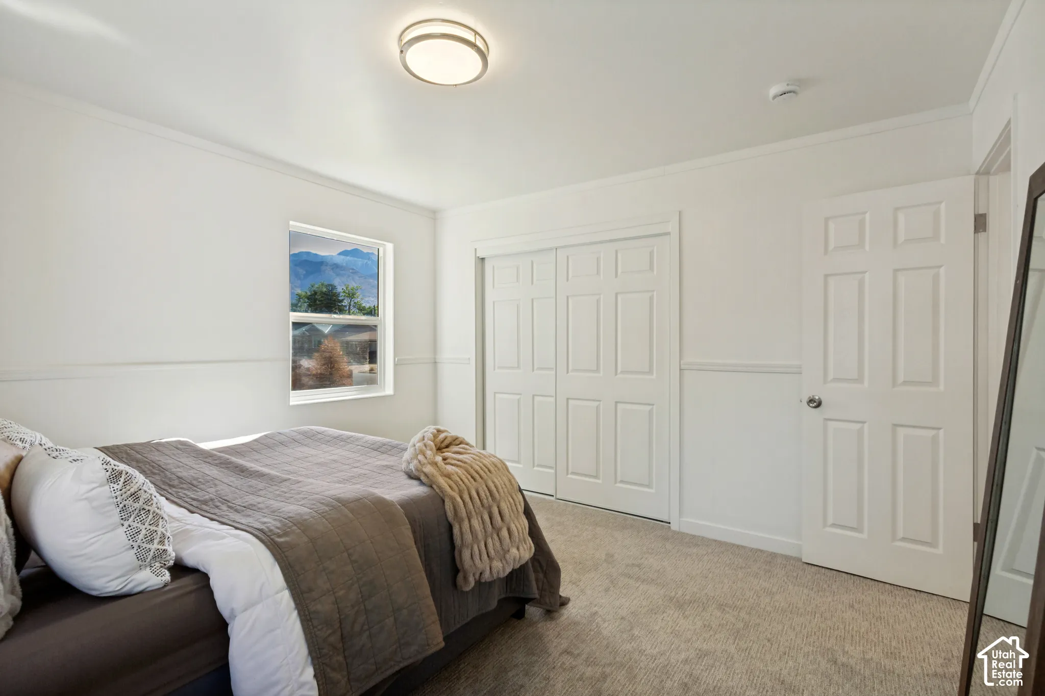 Carpeted flooring with white trim, a single window, a flush mount ceiling light, and white paneled doors