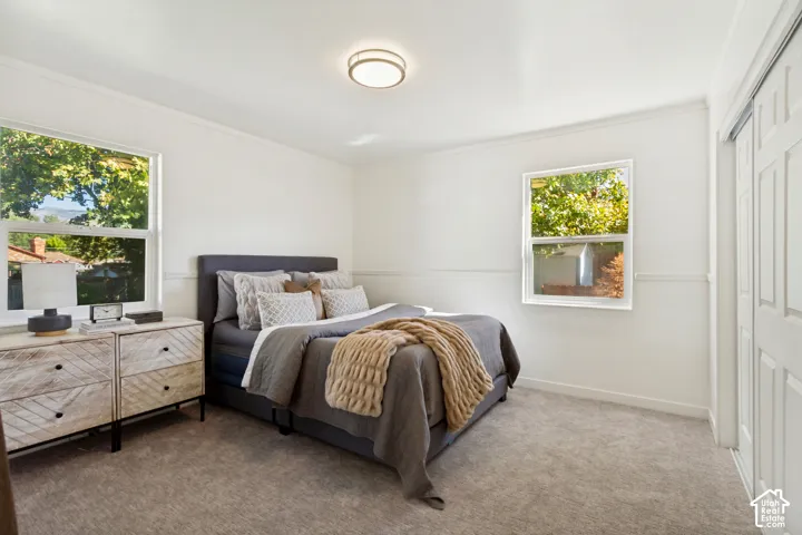 Plush carpet flooring, multiple windows providing natural light, white wall finishes, and a flush mount ceiling light fixture