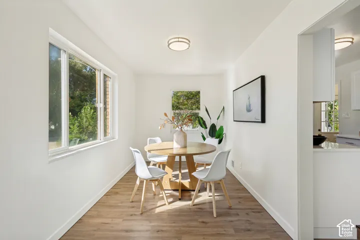 Bright interior with wood-finish flooring, multiple windows, and a flush-mount ceiling light