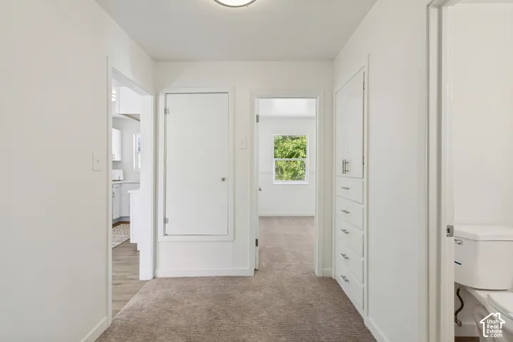 Hallway with neutral carpeting and flush-mount lighting