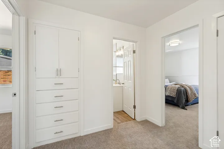Built-in storage cabinetry with drawers, carpeted flooring, and a ceiling-mounted light fixture