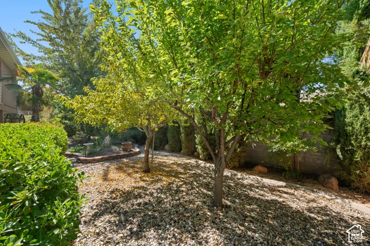 Landscaped yard featuring mature trees, shrubs, and gravel ground cover