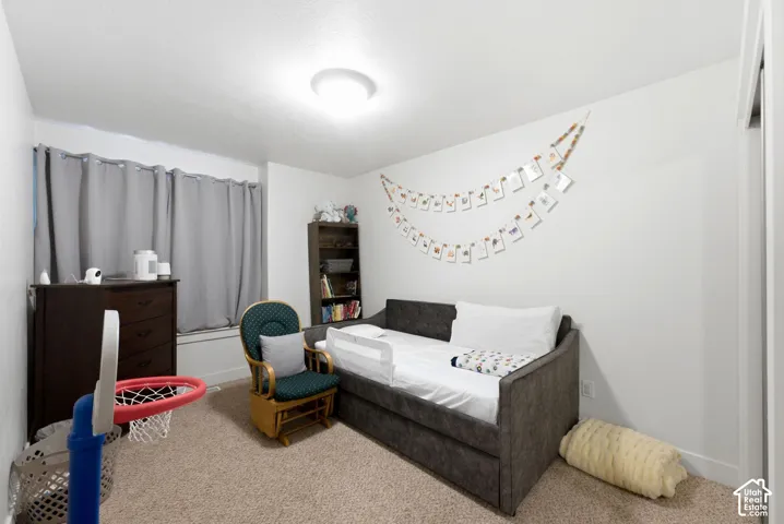 Plush carpet flooring, a built-in window ledge, and a ceiling-mounted light fixture