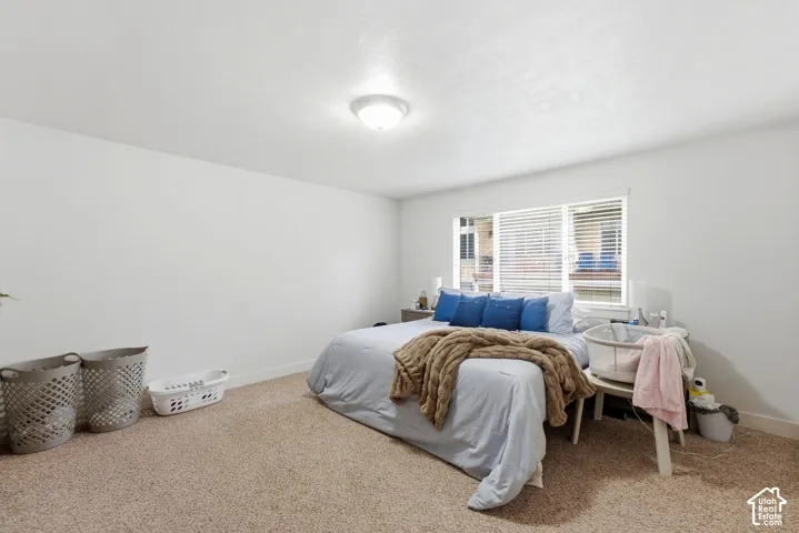 Bright secondary bedroom featuring carpet flooring, ample natural light from multi-pane windows with horizontal blinds, and a ceiling-mounted light fixture