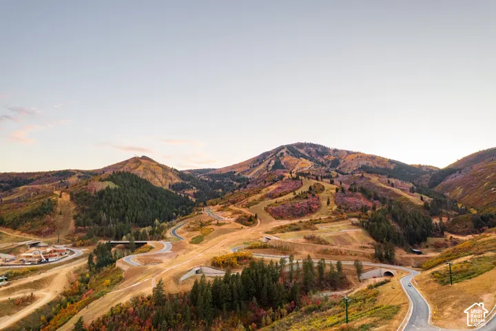 Winding paved roads traversing a mountainous landscape with mature trees