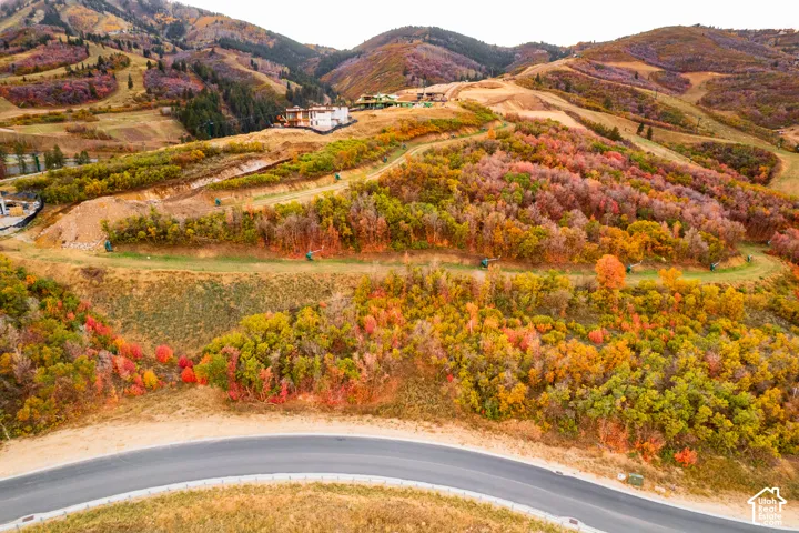 Mountainous terrain featuring diverse foliage, paved roadway, and distant structures