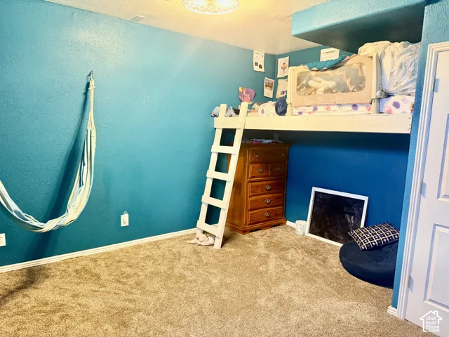 Plush carpet flooring and a built-in loft bed frame with a ladder