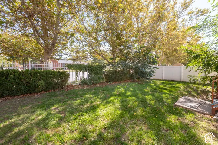 Yard