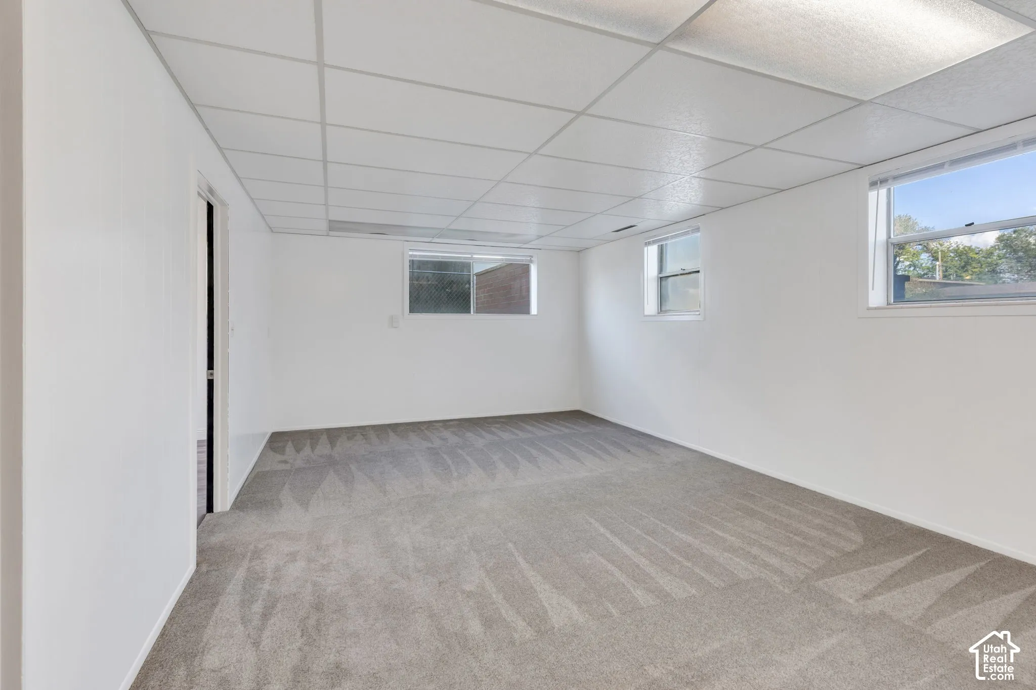 Expansive room with neutral carpeting, white walls, multiple windows, and a drop ceiling